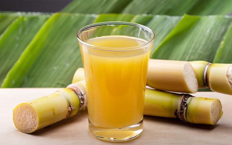 The Best Sugar Cane Juicer Machines You Can Buy Right Now in 2023